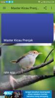 Master Kicau Prenjak screenshot 2