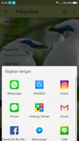 masteran kicau burung poksai screenshot 3