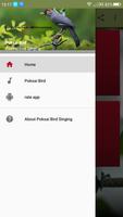 masteran kicau burung poksai screenshot 1