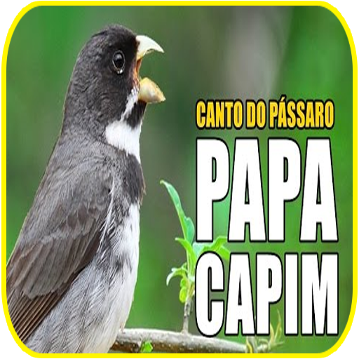 Descarga de APK de Canto de Papa-Capim Tui Tui Puro Grátis para Android