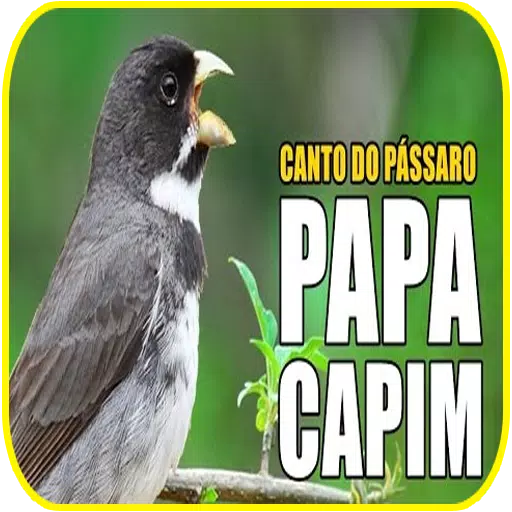 Papa Capim