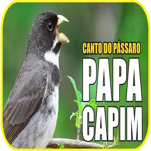 Canto De Papa-Capim – Apps no Google Play