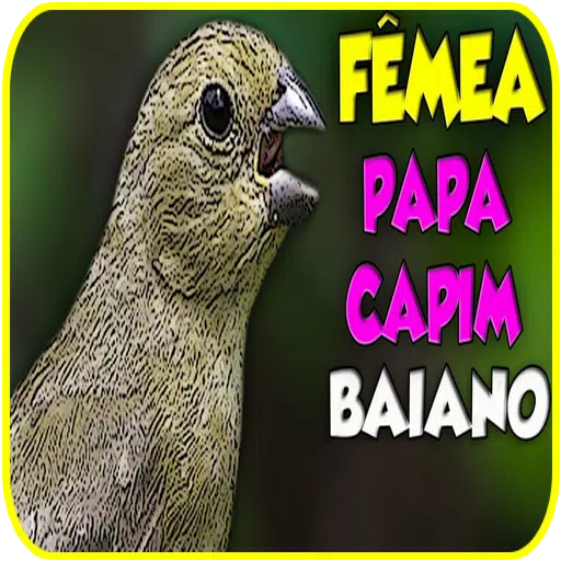 papa capim fêmea show 