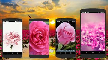 Pink Flowers Wallpaper Offline capture d'écran 1