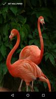 Crimson Flamingo Wallpapers スクリーンショット 3