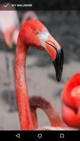 Crimson Flamingo Wallpapers capture d'écran 2