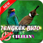 Icona Tengkek Buto VS CiLiLin