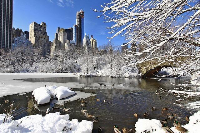 New York City Snow Wallpaper APK للاندرويد تنزيل New York City Snow Wallpaper APK للاندرويد تنزيل