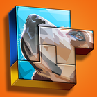 Photo Block Puzzle for FREE :  icône