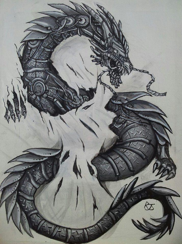 Kumpulan Gambar Dragon HD Gratis Kumpulan Gambar Dragon HD Gratis