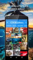 酷壁紙 APK 下載