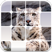 Hidden Pic APK
