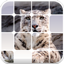 Hidden Pic APK