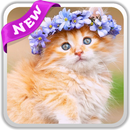 Fonds d'écran chat HD, fond mignon 4k APK