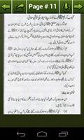 Jashan-e-Melad-e-Mustafa 스크린샷 1