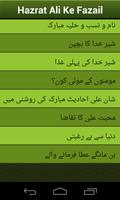 Blessings of Ali R.A(eng urdu) screenshot 1