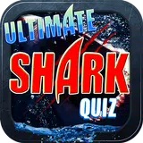 Ultimate Shark Trivia Quiz