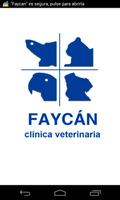 Faycan poster