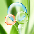 ”Bubbles