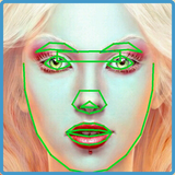 Face Mark アイコン