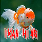 Aneka Jenis Ikan Hias Aquarium ikon