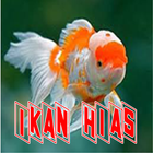 ikon Aneka Jenis Ikan Hias Aquarium