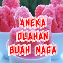 Aneka Olahan Buah Naga APK