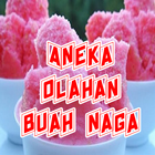 Aneka Olahan Buah Naga أيقونة