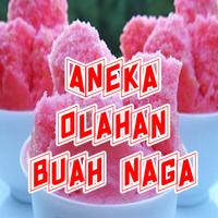 Aneka Olahan Buah Naga تصوير الشاشة 1