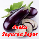 APK Aneka Sayuran Segar Penuh Gizi
