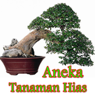 Aneka Tanaman Hias أيقونة