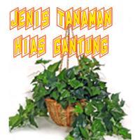 Poster 40 Aneka Tanaman Hias Gantung