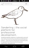 Sanderling Plakat