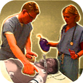 ACLS Sim 2016