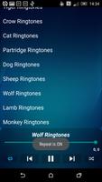Animal Ringtones capture d'écran 1