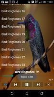 Bird Ringtones capture d'écran 2