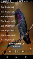 Bird Ringtones capture d'écran 3