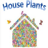 HousePlants(실내 정원용 식물) icon