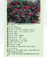 برنامه‌نما HousePlants(실내 정원용 식물) عکس از صفحه
