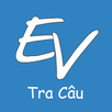 Tra câu Việt Anh - Anh Việt APK