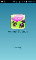 Animal Sounds Game 2017 Affiche