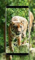 Animal Wallpaper स्क्रीनशॉट 1