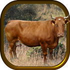 Farming Cow Simulator icono