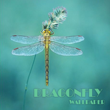 Dragonfly Animal Wallpaper icon