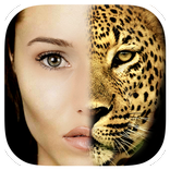 Animal Morph : Face Mixing