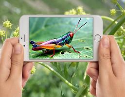 Insects Photo Frames स्क्रीनशॉट 1