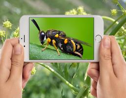Insects Photo Frames स्क्रीनशॉट 2