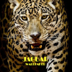 Papier peint Jaguar Animal
