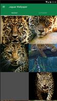 Jaguar Animal Wallpaper Plakat