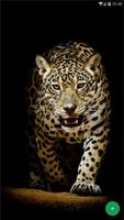 Jaguar Animal Wallpaper स्क्रीनशॉट 1
